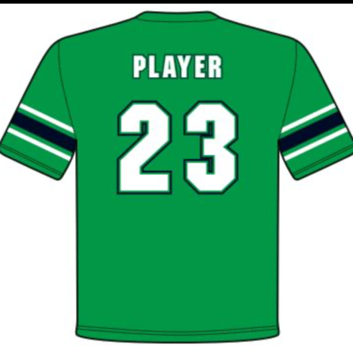 Fulbright replica Football jersey