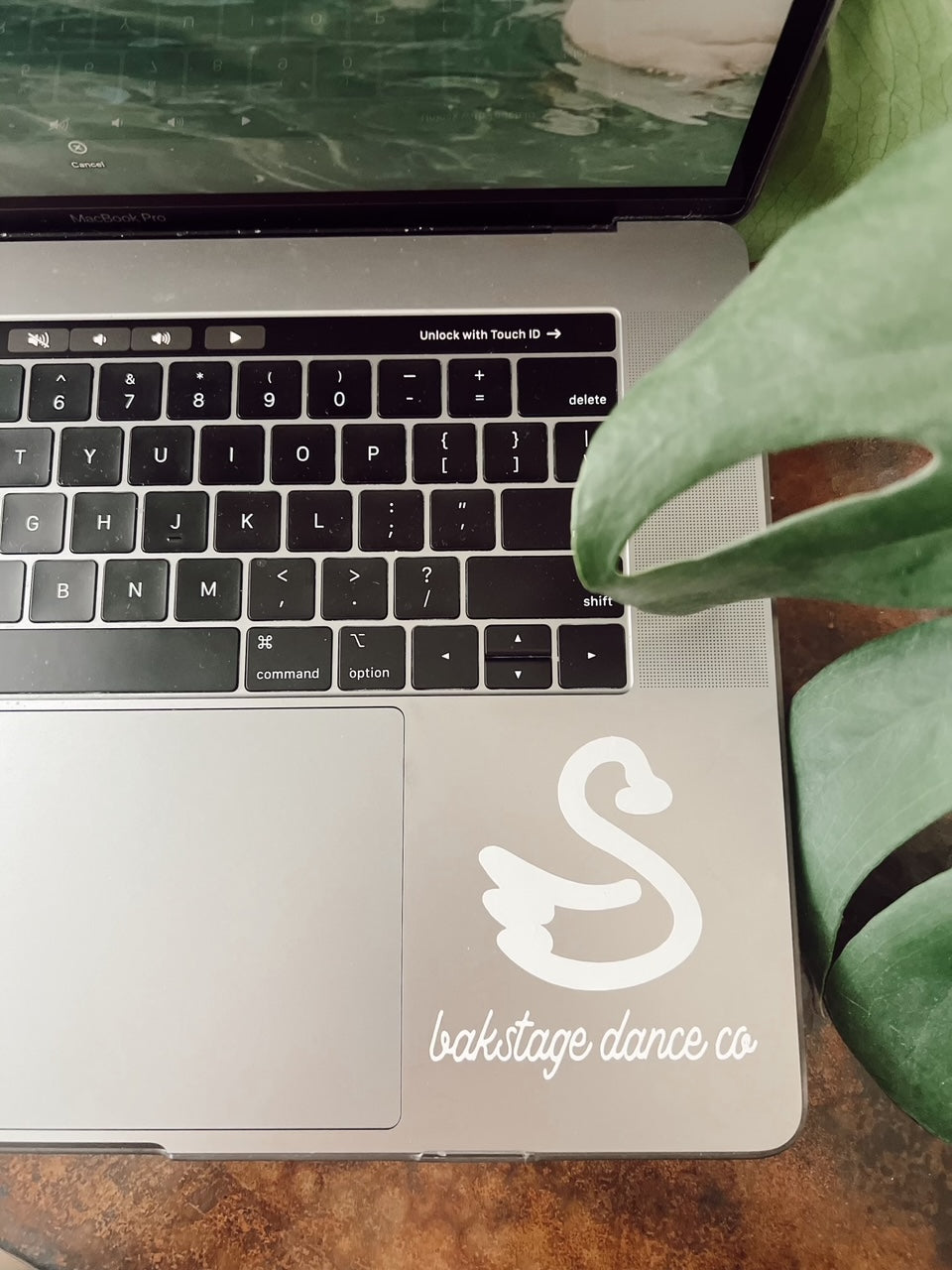 BDC swan vinyl decal