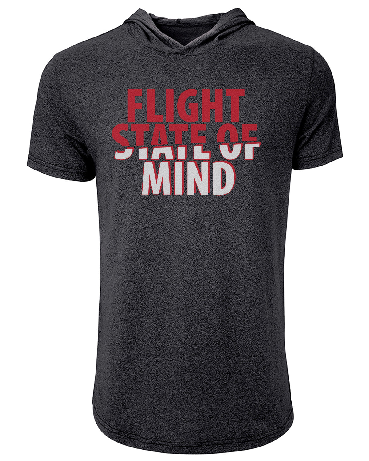 AAO flight short sleeve hooded tee